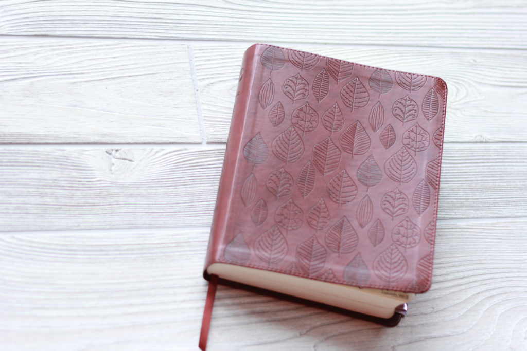 Photo of the cover of a leather journaling Bible with embossed leaves