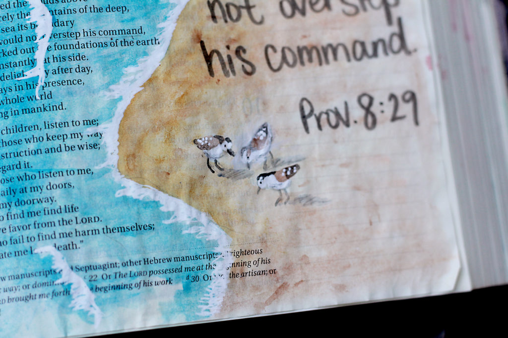 Bible journaling of the sea shore line and sand piper birds to illustrate verse 29, "God gave the sea its boundary so the waters would not overstep his command."